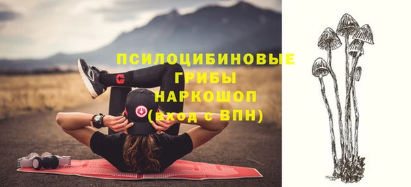 соль ск Арсеньев