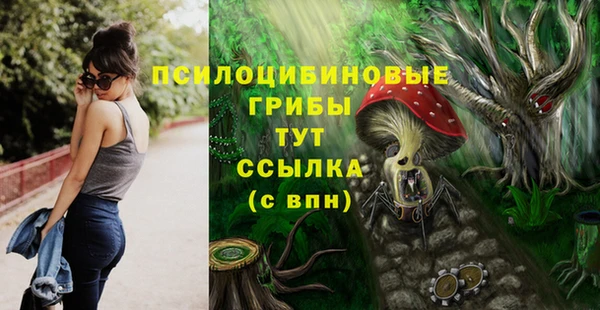 молекула духа Армянск